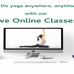 Online Live Classes