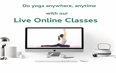 Online Live Classes